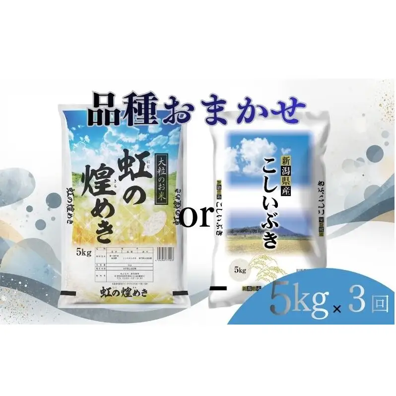 【8月上旬より配送】 新潟県産 品種おまかせ 5kg  3か月定期便 新潟県 新潟市産 令和7年産 お米 精米 米 ご飯 送料無料
