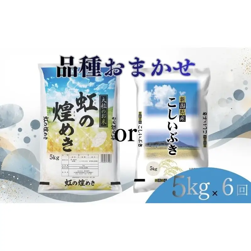 【8月上旬より配送】 新潟県産 品種おまかせ 5kg  6か月定期便 新潟県 新潟市産 令和7年産 お米 精米 米 ご飯 送料無料