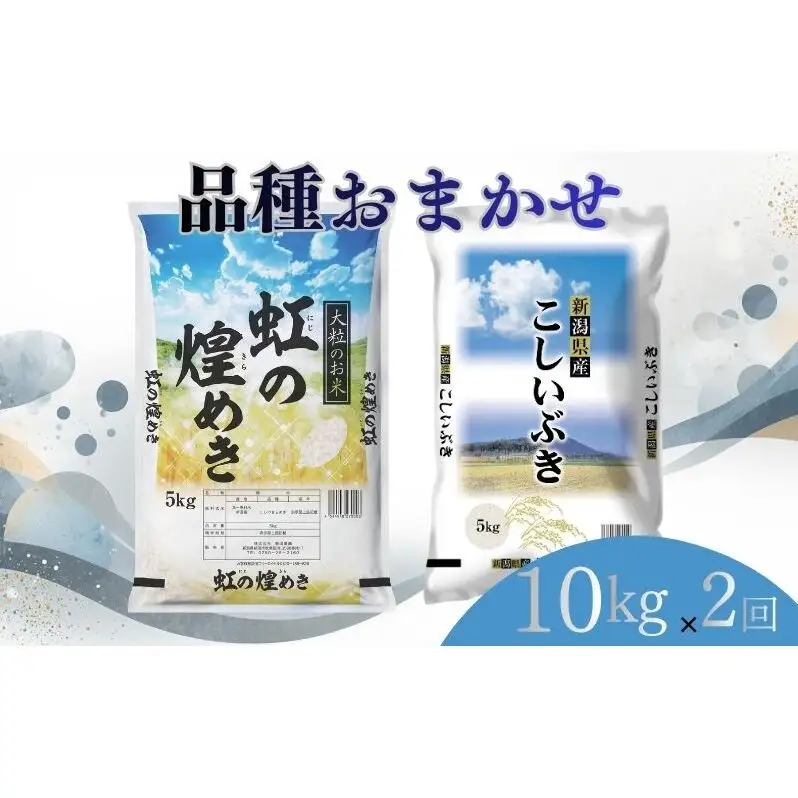 【8月上旬より配送】 新潟県産 品種おまかせ 10kg  2か月定期便 新潟県 新潟市産 令和7年産 お米 精米 米 ご飯 送料無料