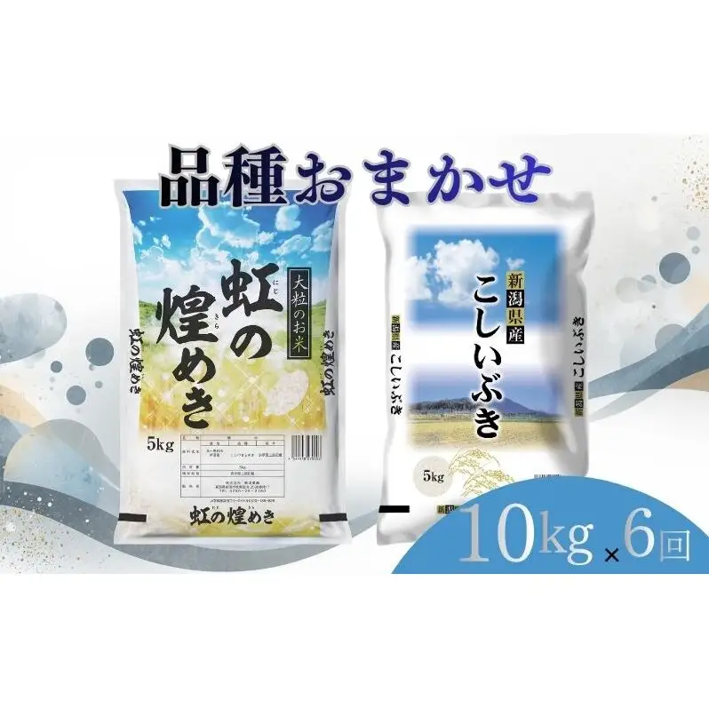 【8月上旬より配送】 新潟県産 品種おまかせ 10kg  6か月定期便 新潟県 新潟市産 令和7年産 お米 精米 米 ご飯 送料無料