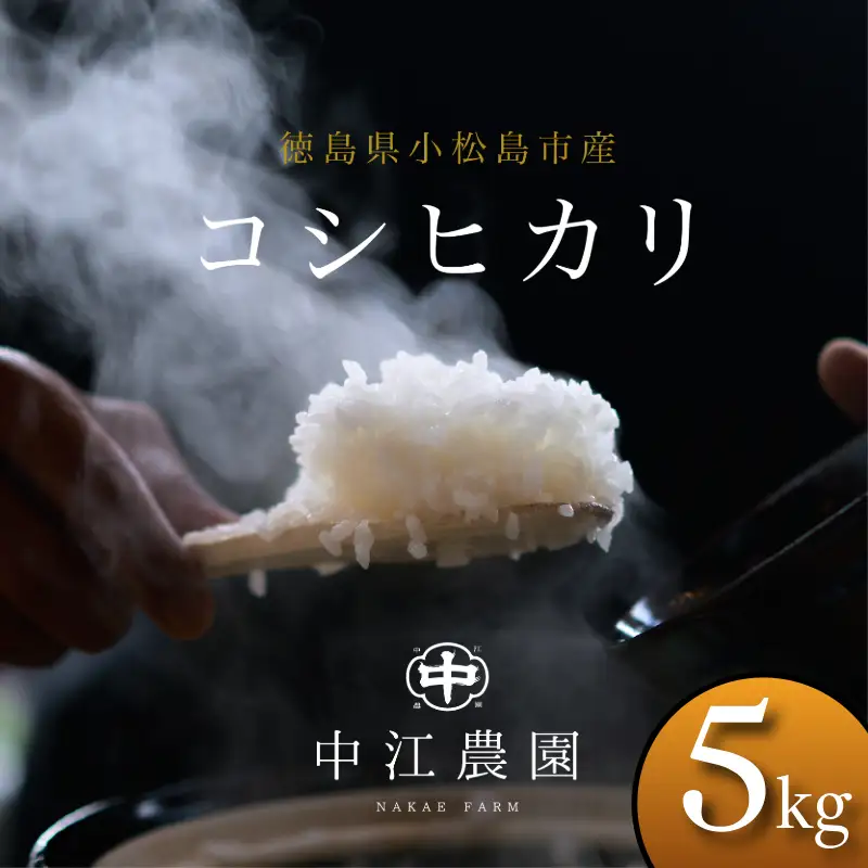 令和7年産 コシヒカリ 5kg 白米 米 数量 限定 こしひかり 5キロ 米5kg おにぎり