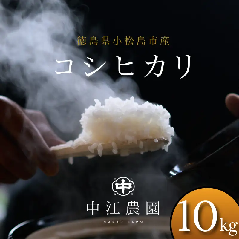令和7年産 コシヒカリ 10kg 白米 米 数量 限定 こしひかり 10キロ 米10kg 小松島市
