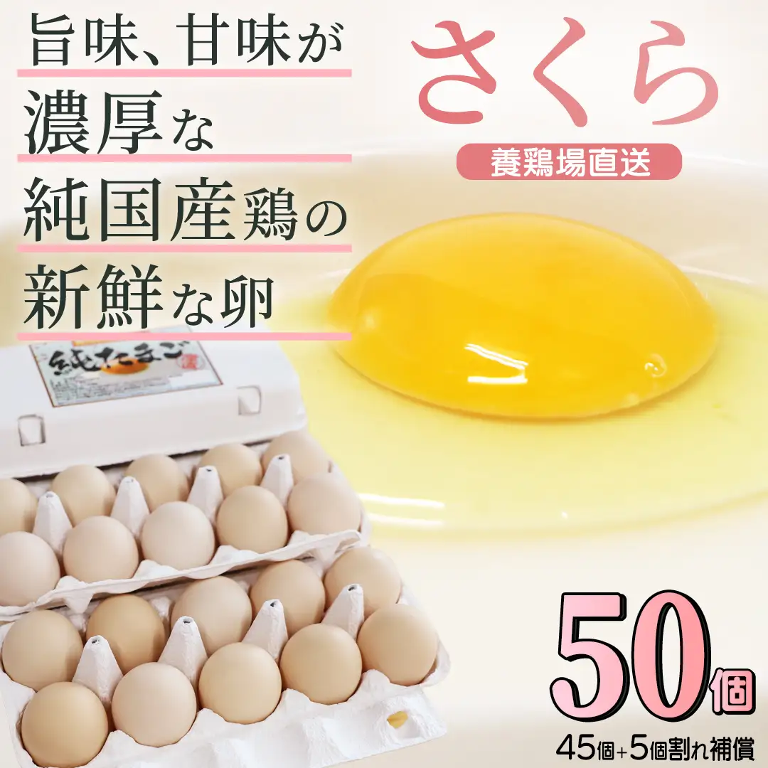 純国産鶏【さくら】純たまご 50個入り 破損保証5個を含む (AJ035)