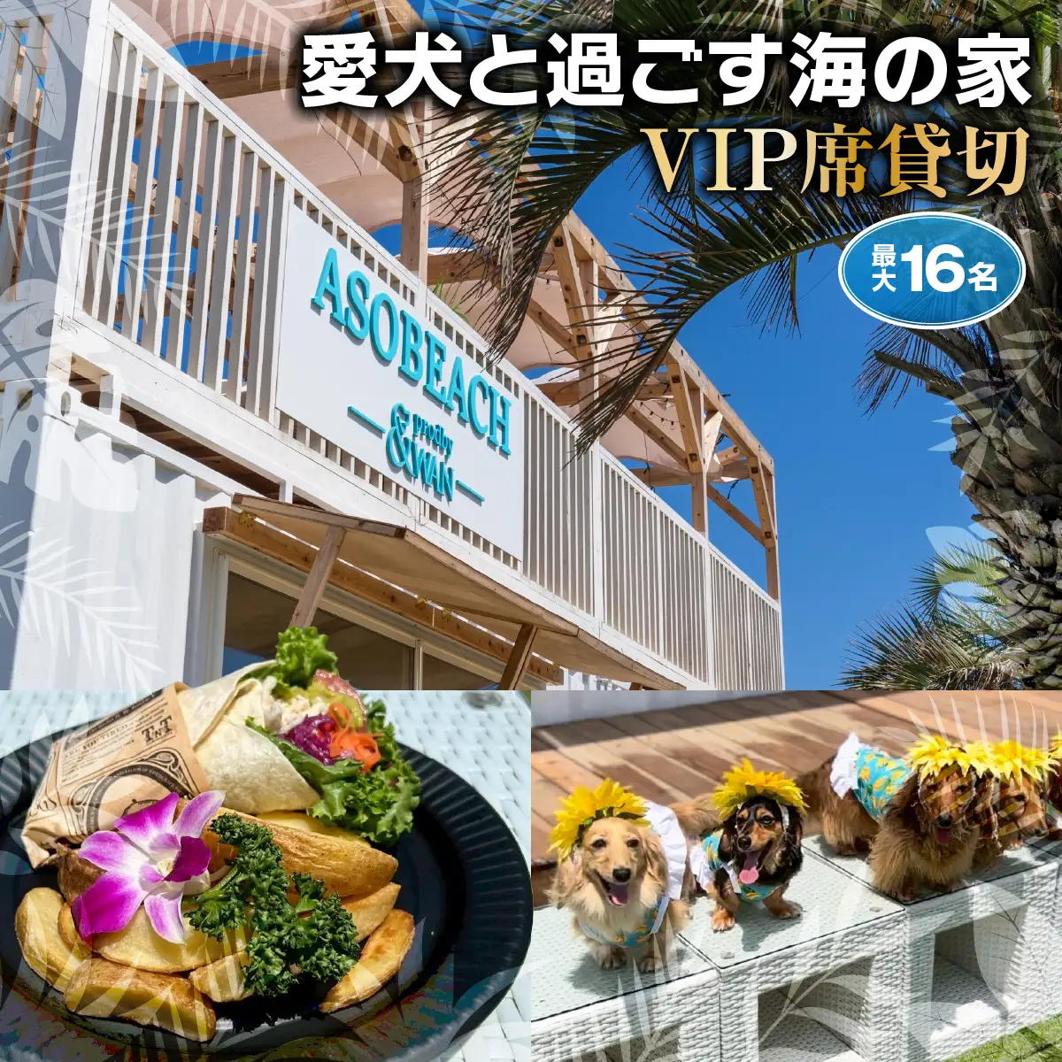 ASOBEACH 愛犬と過ごす海の家 VIP席貸切(最大16名) /ふるさと納税 チケット 旅行 ペット わんちゃん ドッグラン＆WAN アンドワン 犬 いぬ イヌ 海の家 九十九里 千葉県 山武市 　SMU013