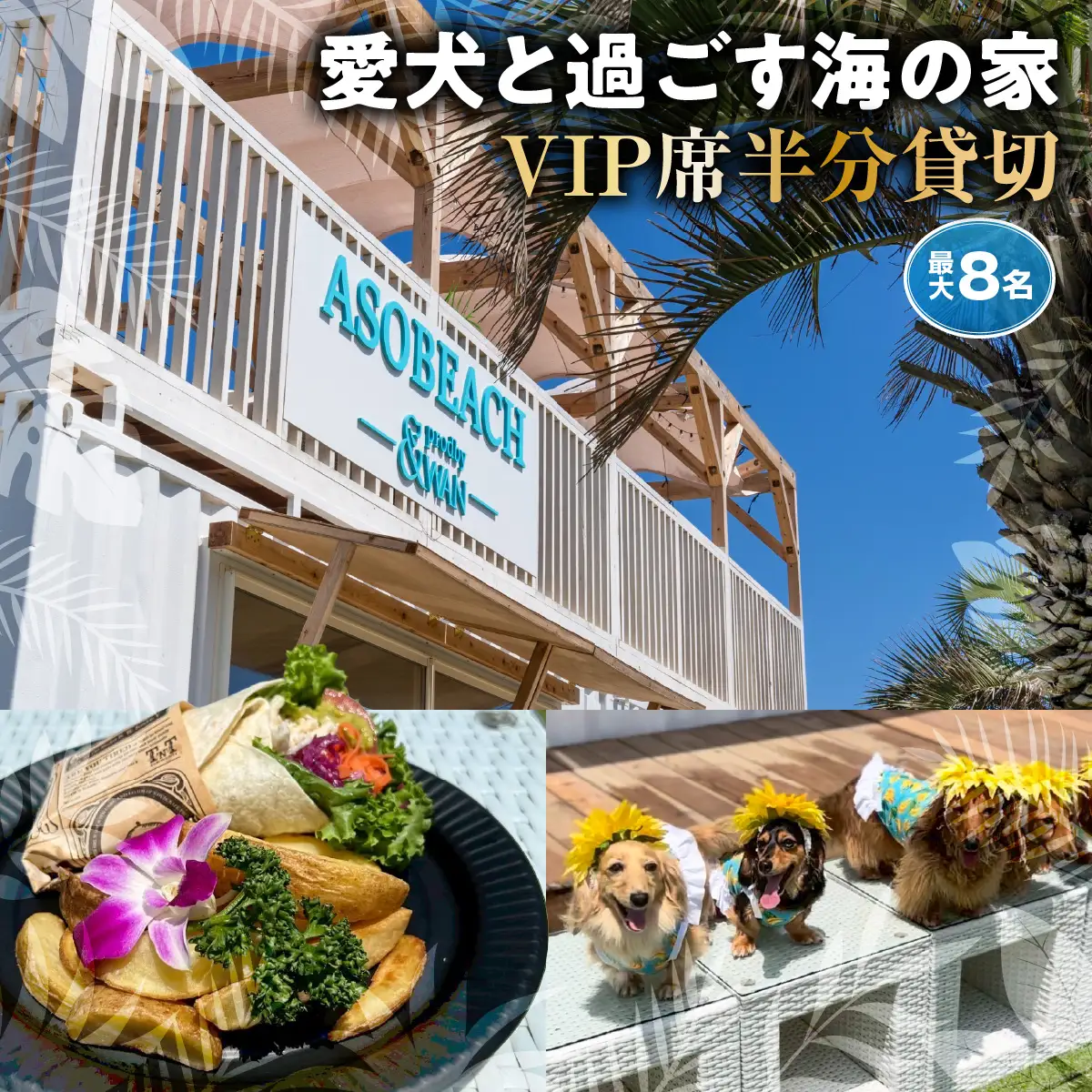 ASOBEACH 愛犬と過ごす海の家 VIP席半分貸切(最大8名) /ふるさと納税 チケット 旅行 ペット わんちゃん ドッグラン＆WAN アンドワン 犬 いぬ イヌ 海の家 九十九里 千葉県 山武市　SMU014