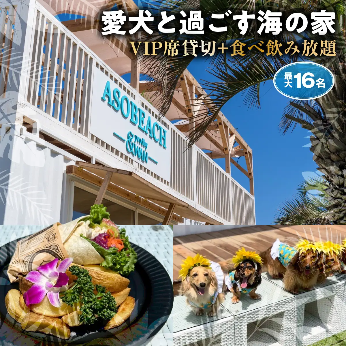 ASOBEACH 愛犬と過ごす海の家 VIP席貸切＋食べ飲み放題(最大16名) /ふるさと納税 チケット 旅行 ペット わんちゃん ドッグラン＆WAN アンドワン 犬 いぬ イヌ 海の家 九十九里 千葉県 山武市 SMU015