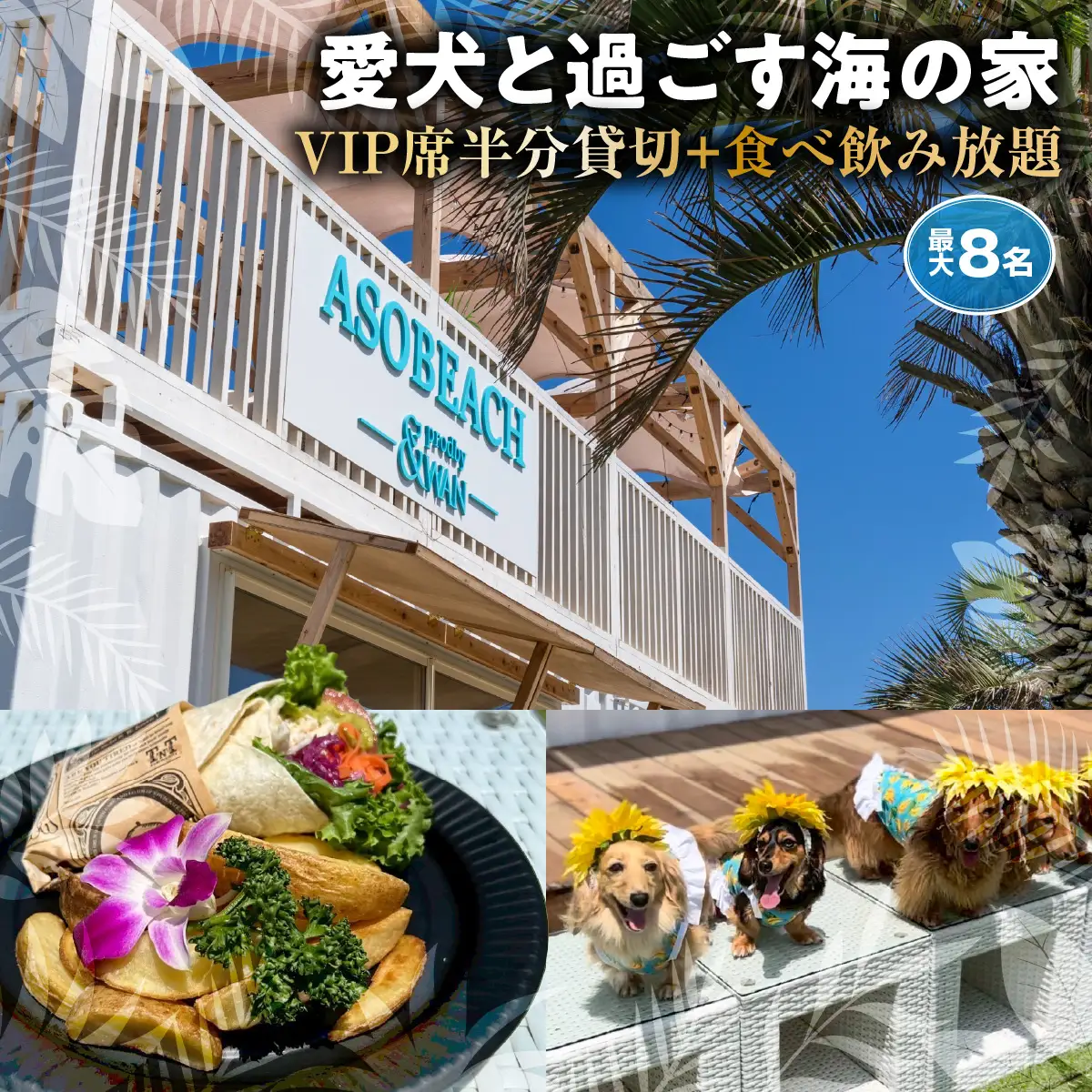 ASOBEACH 愛犬と過ごす海の家 VIP席半分貸切＋食べ飲み放題(最大8名) /ふるさと納税 チケット 旅行 ペット わんちゃん ドッグラン＆WAN アンドワン 犬 いぬ イヌ 海の家 九十九里 千葉県 山武市 SMU016