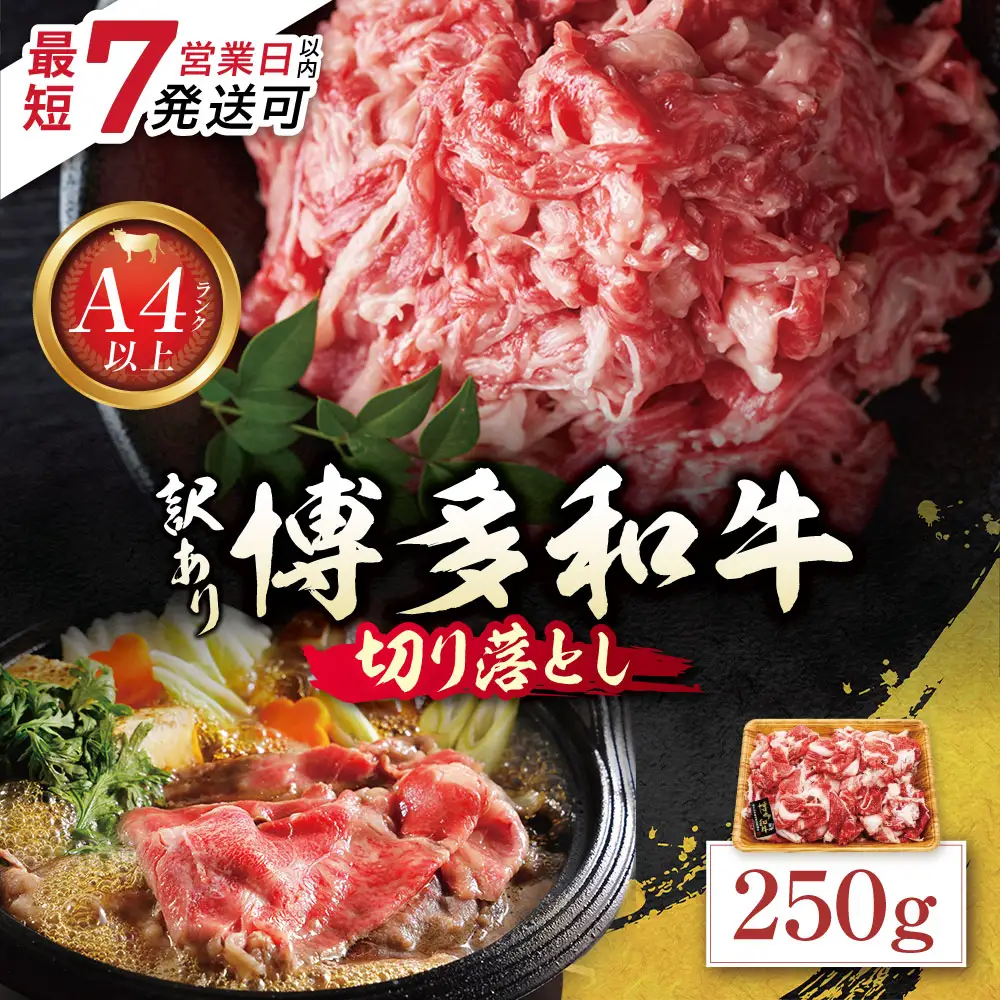 Z59-27 博多和牛A4ランク以上 切り落とし 250g 博多和牛
