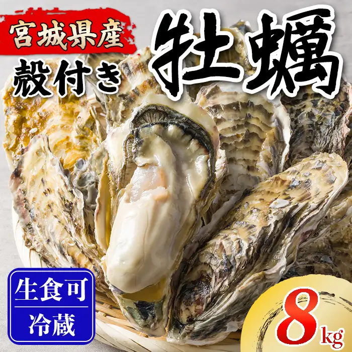 松島牡蠣屋 殻付き牡蠣（生食用） 8kg  生牡蠣 宮城県産 牡蛎 牡蠣 カキ オイスター カキフライ 牡蠣鍋 海鮮 国産 魚貝類 【菊地水産合同会社】tm747