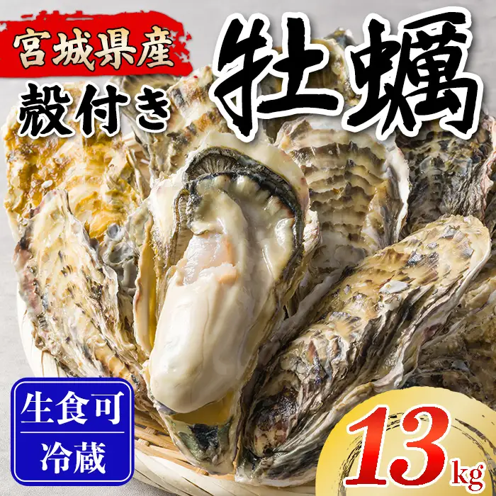 松島牡蠣屋 殻付き牡蠣（生食用） 13kg 生牡蠣 宮城県産 牡蛎 牡蠣 カキ オイスター カキフライ 牡蠣鍋 海鮮 国産 魚貝類 【菊地水産合同会社】tm748