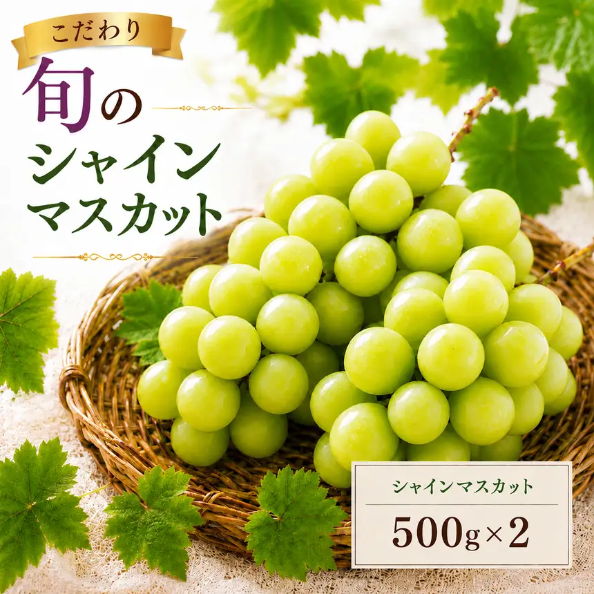 美浜町産 こだわりシャインマスカット 500g×2 | 先行予約 ぶどう 愛知県 美浜町
