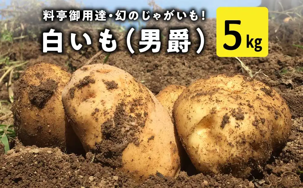料亭御用達！東御市産白いも 5kg｜じゃがいも【数量限定】｜御牧八重原農園 ※2026年8月下旬～10月下旬に順次発送予定※着日指定不可