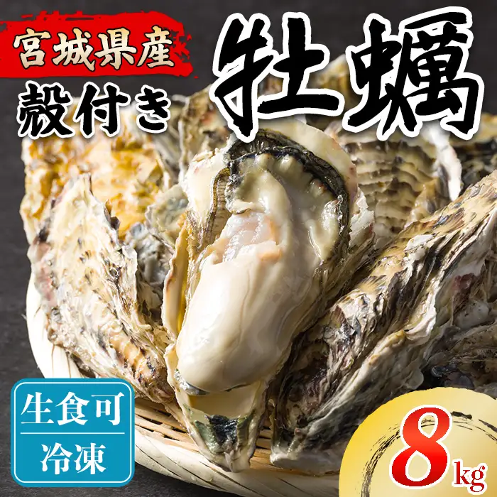 松島牡蠣屋 冷凍牡蠣（生食用） 8kg 宮城県産 牡蛎 牡蠣 カキ オイスター カキフライ 牡蠣鍋 海鮮 国産 魚貝類 急速冷凍 【菊地水産合同会社】tm752