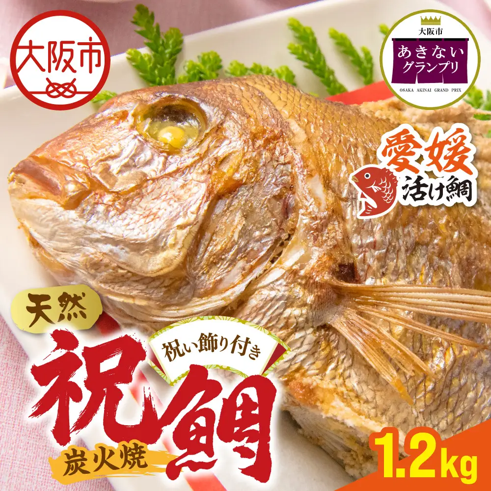 【商店街逸品】天然祝鯛 炭火焼 1.2kgアップ（愛媛活け鯛）_OS389-0003-04