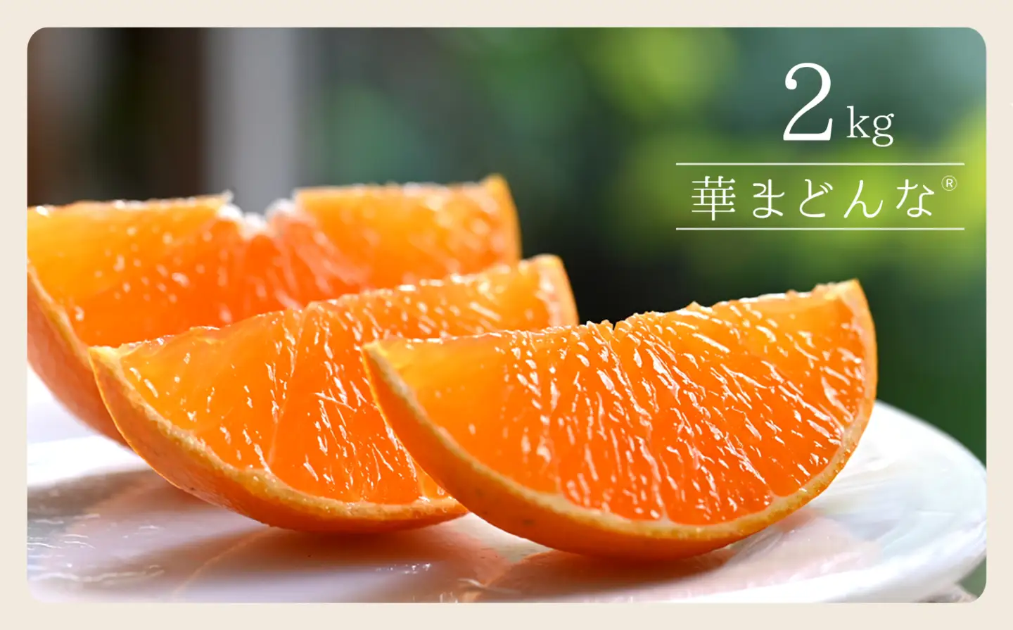 【先行受付】コウ果樹園　華まどんな2kg YWTG032