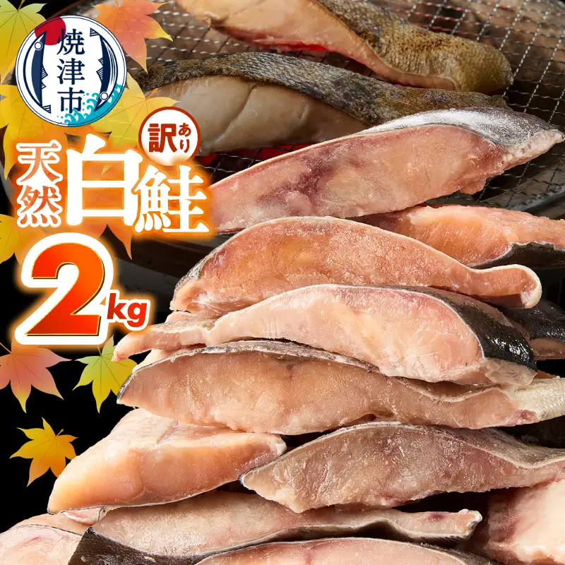 訳あり！ 天然 白鮭 甘口 切身 約2kg 便利なジッパーバック入り (a15-714)