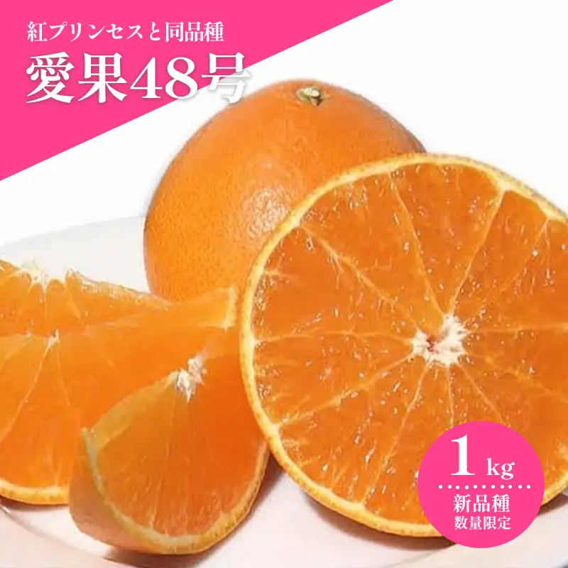【2027年3月上旬頃から順次発送】  愛果48号（紅プリンセスと同品種） 約1.0kg ｜あいか 愛果 紅まどんな × 甘平 紅プリンセス と同品種 みかん 蜜柑 ミカン 柑橘 果物 フルーツ 松山市産みかん 新品種 甘い 美味しい 酸味 おすすめ お取り寄せ グルメ ギフト 期間 ご当地  愛媛県 松山市 【HMN022】