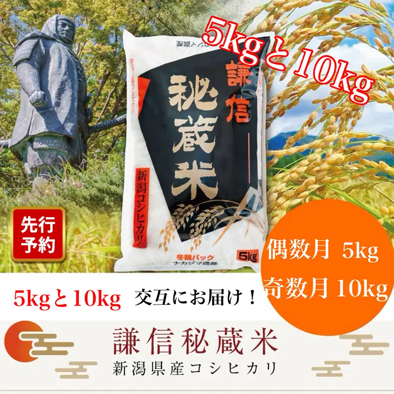 【先行予約・定期便】謙信秘蔵米 コシヒカリ 偶数5kg/奇数10kg コシヒカリ