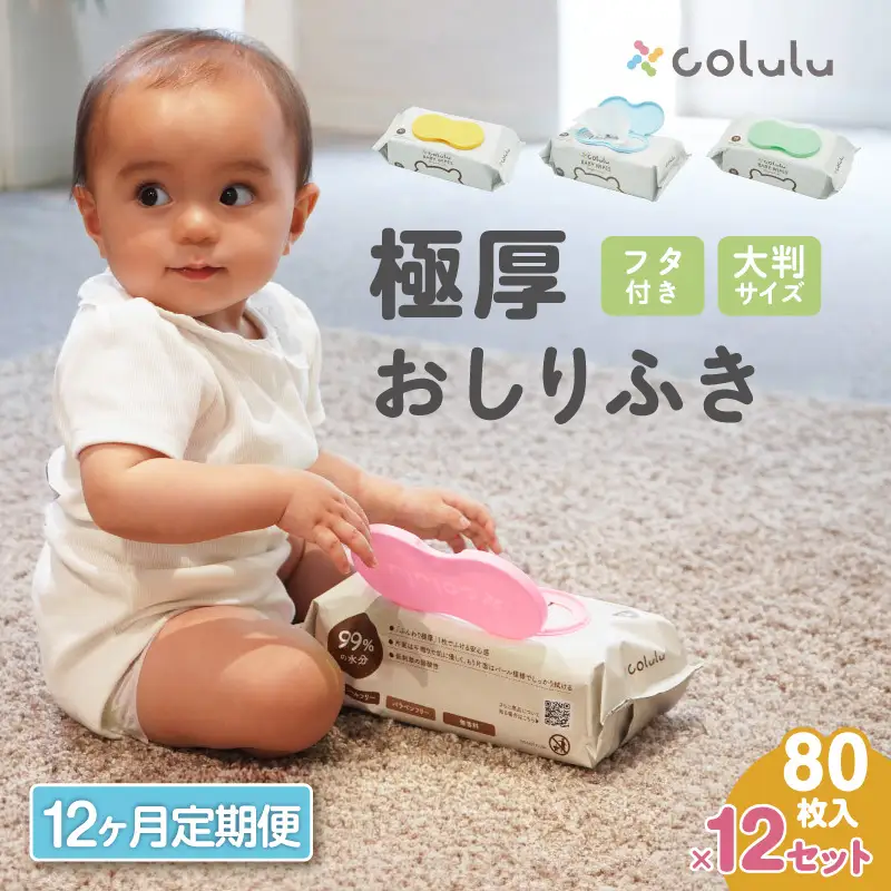 おしり拭き 80枚入り 12個セット×12ヶ月定期便（3466）