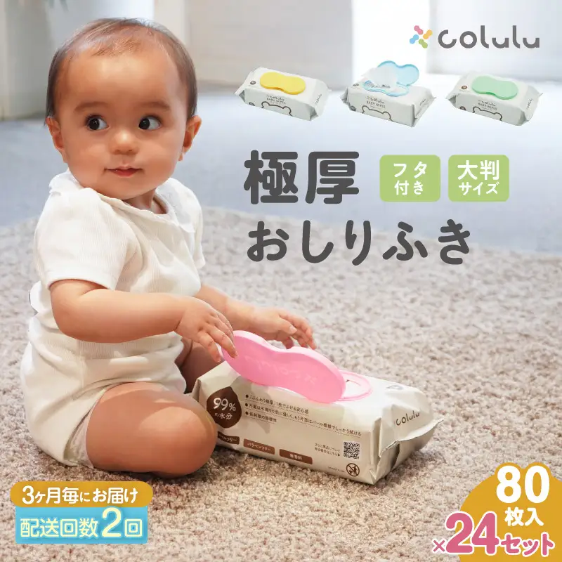 【２回定期便】おしり拭き 80枚入り 12個セット×２個セット（3469）