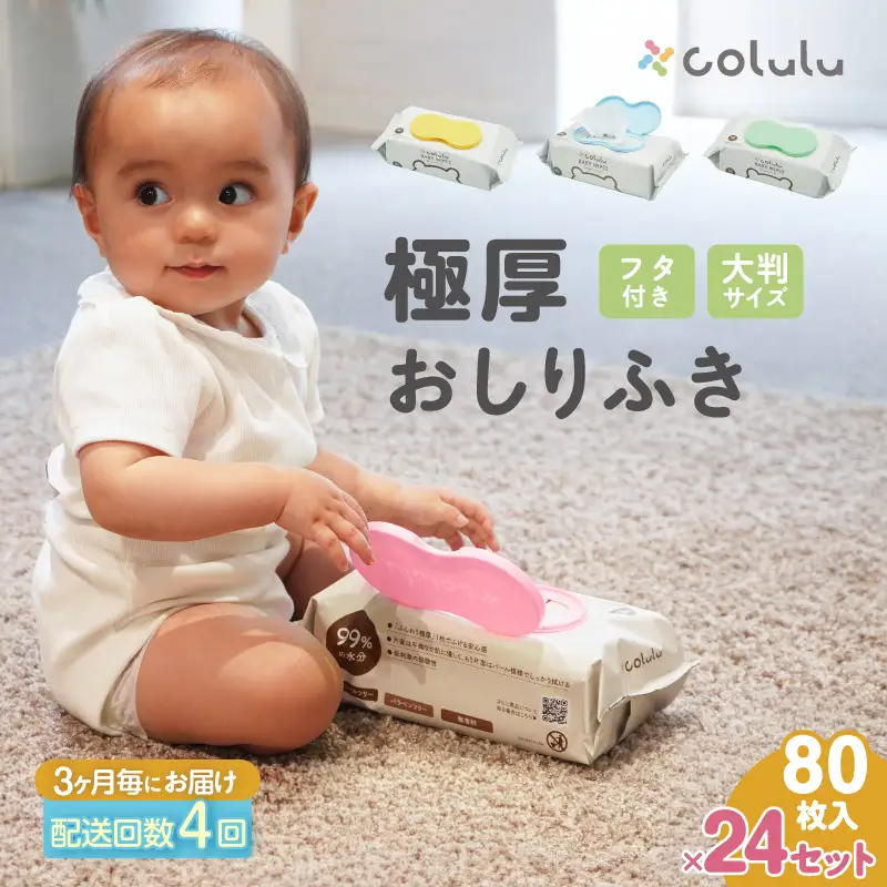 【４回定期便】おしり拭き 80枚入り 12個セット×２個セット（3470）