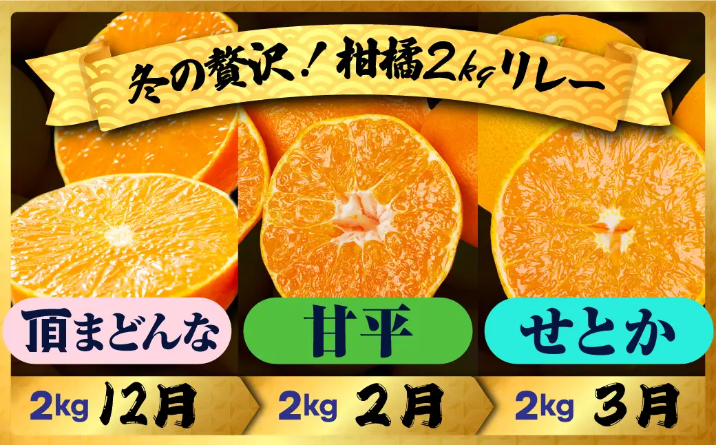 【発送月固定定期便】【冬のご褒美定期便】まどんな・甘平・せとか 3種食べ比べ【H31-67】全3回 YWTAC052