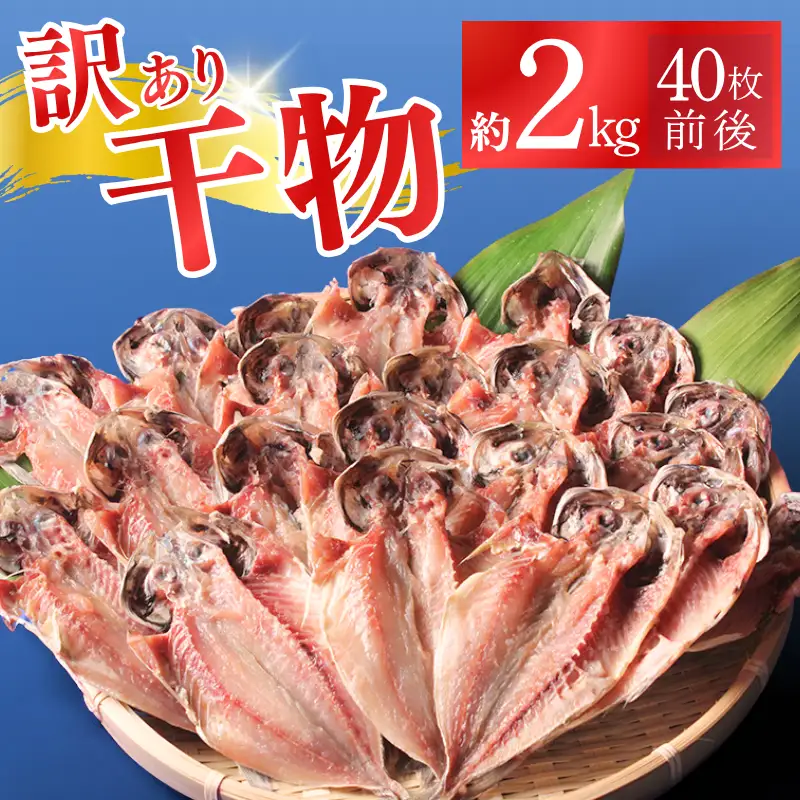 アジの干物セット 【 干物 訳あり 】