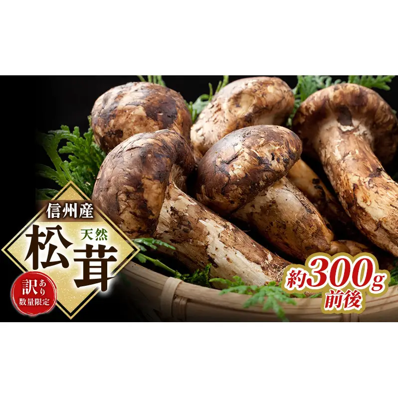 松茸 訳あり 数量限定 信州産 約300g前後 天然 松茸