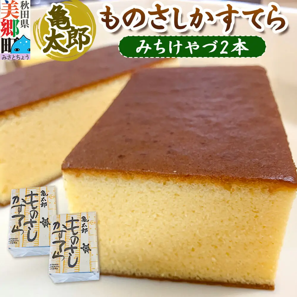 カステラ「ものさしかすてら」（みちけやづ）2本セット 亀太郎