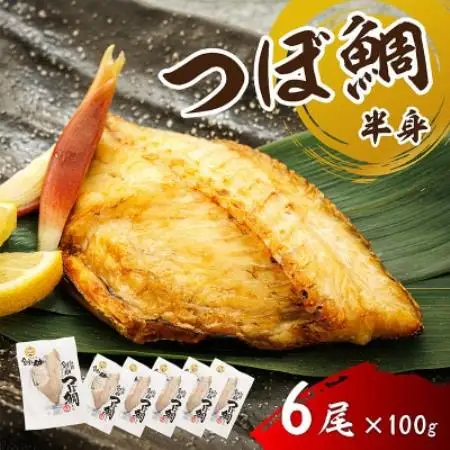 厳選したツボダイを一夜干しにした 「つぼ鯛(半身100g)」6個セット【配送不可地域：離島】【1740288】