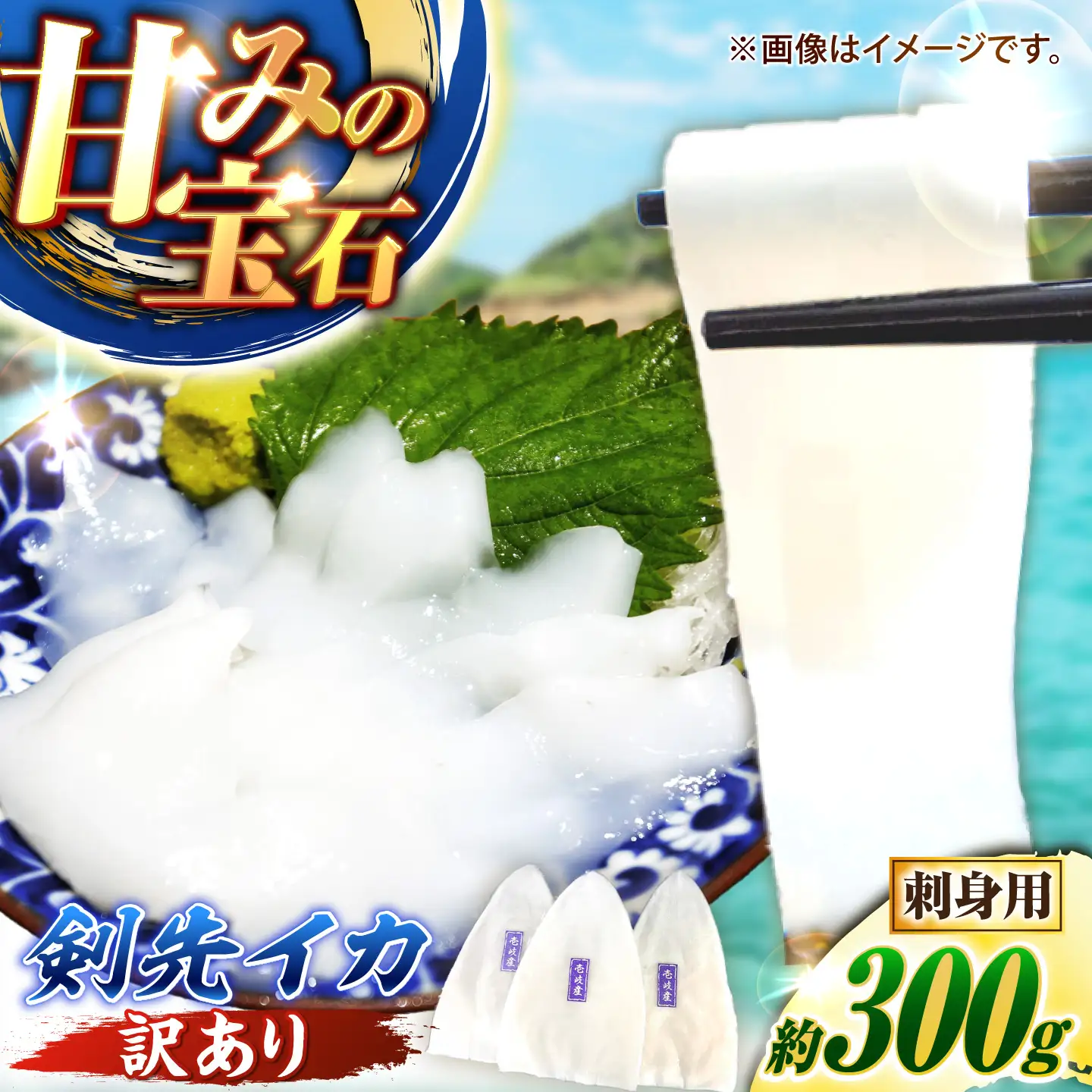 訳あり 剣先イカ 300g JCC028 いか