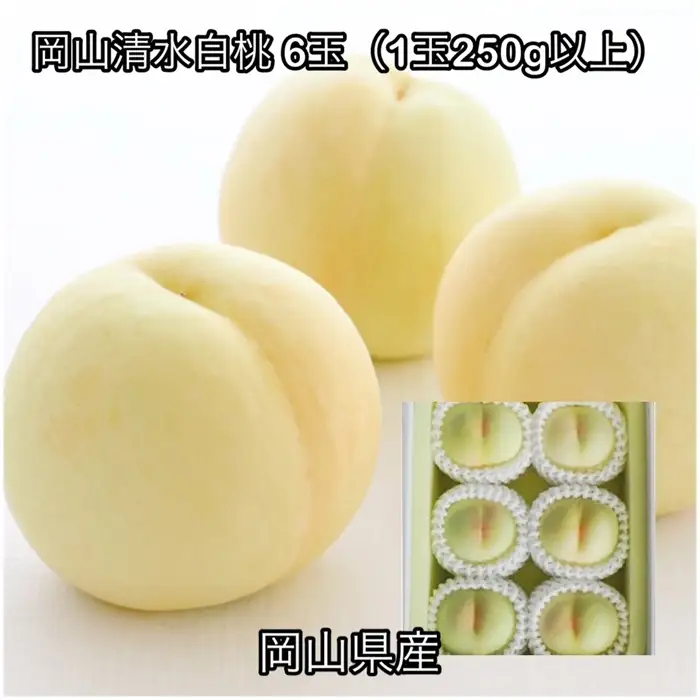 岡山清水白桃 6玉(1玉250g以上)化粧箱入り岡山県産