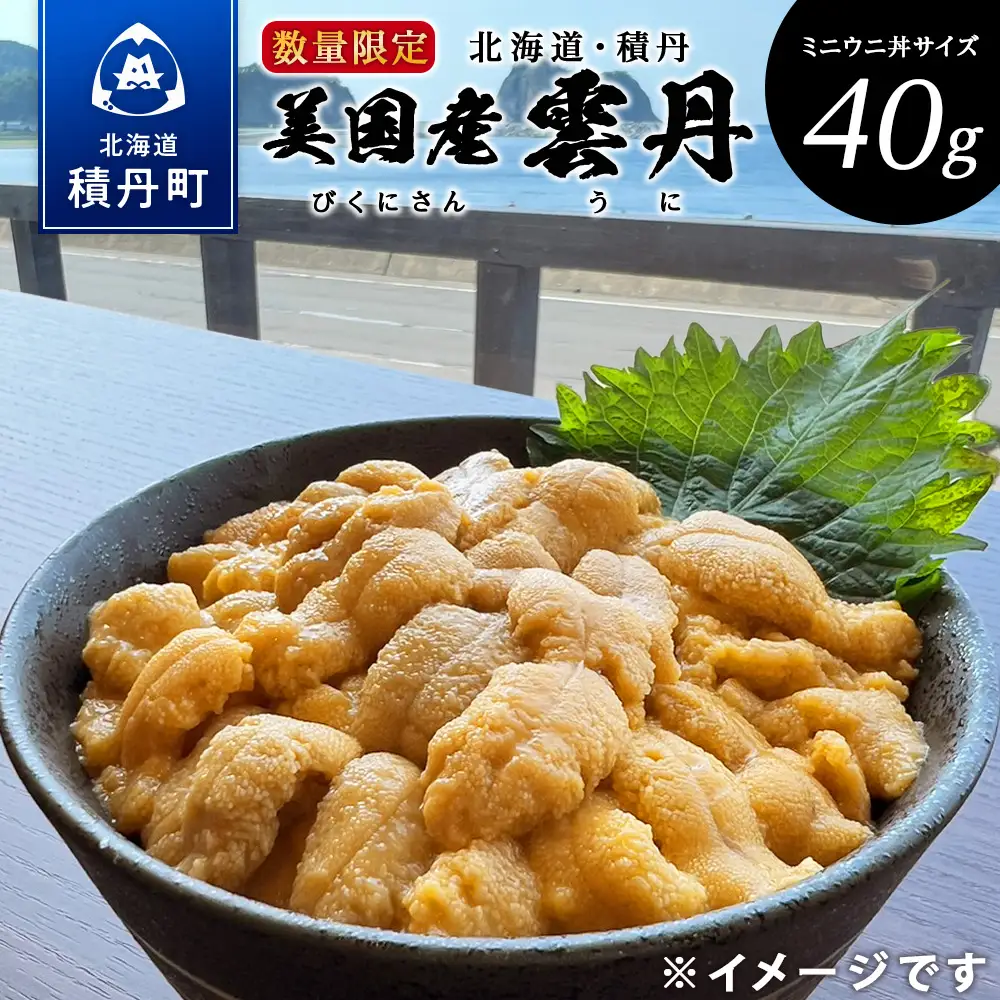 【期間限定】〈2026年発送予約〉美国産雲丹40g ミニウニ丼サイズ 北海道 ウニ うに