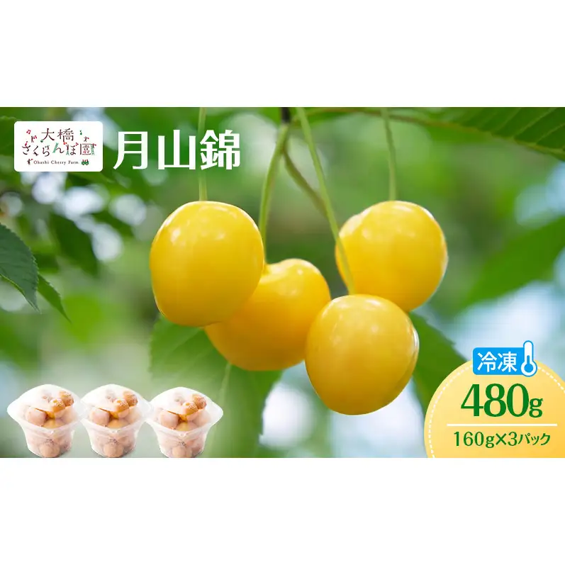 冷凍さくらんぼ 160g 3パック 480g 月山錦