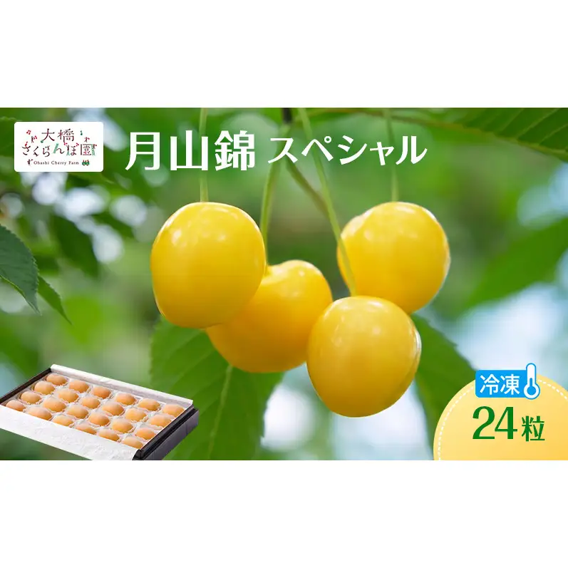 冷凍さくらんぼ 24粒 月山錦 冷凍 さくらんぼ