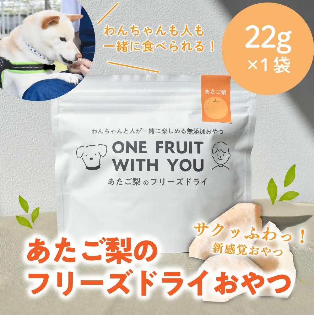 あたご梨のフリーズドライおやつ(22g×1袋) 原材料は「あたご梨」のみ、果物そのまま！(岡山県産) ペット 果物【KF-F002-01】