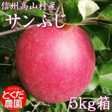 高山村産りんご(サンふじ)5kg箱【1299376】
