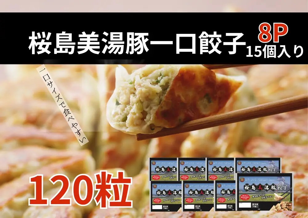 A1-0448／桜島美湯豚　ひと口餃子 8P（計120個）
