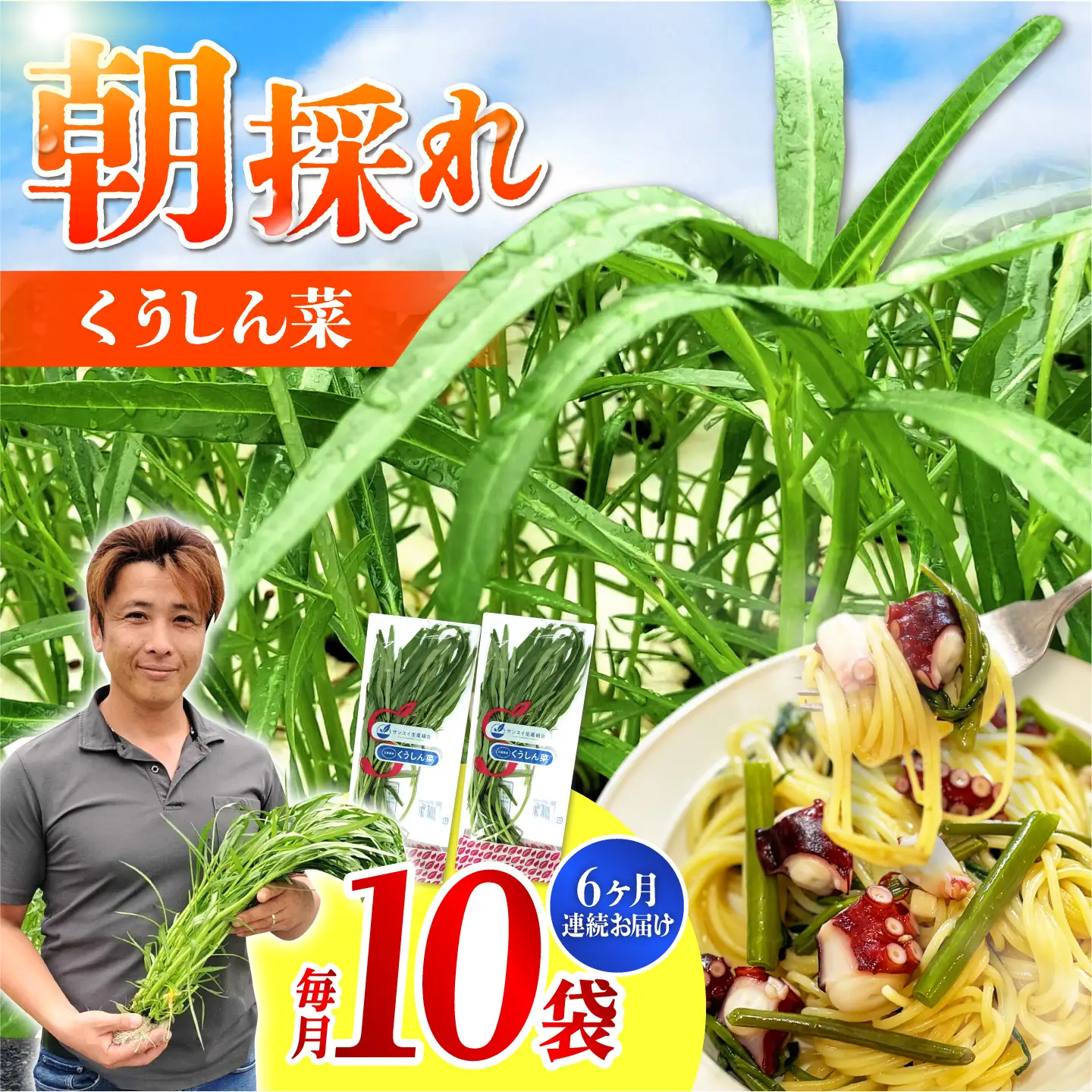 【6回定期便】新鮮朝採れ くうしん菜 10袋(計60袋) / 新鮮 野菜 葉物野菜 水耕栽培 産地直送 サラダ エンサイ ヨウサイ 国産 小分け 詰め合わせ まとめ買い 料理 / 亀山市 / グリーンハウス吉田[AMCD005]