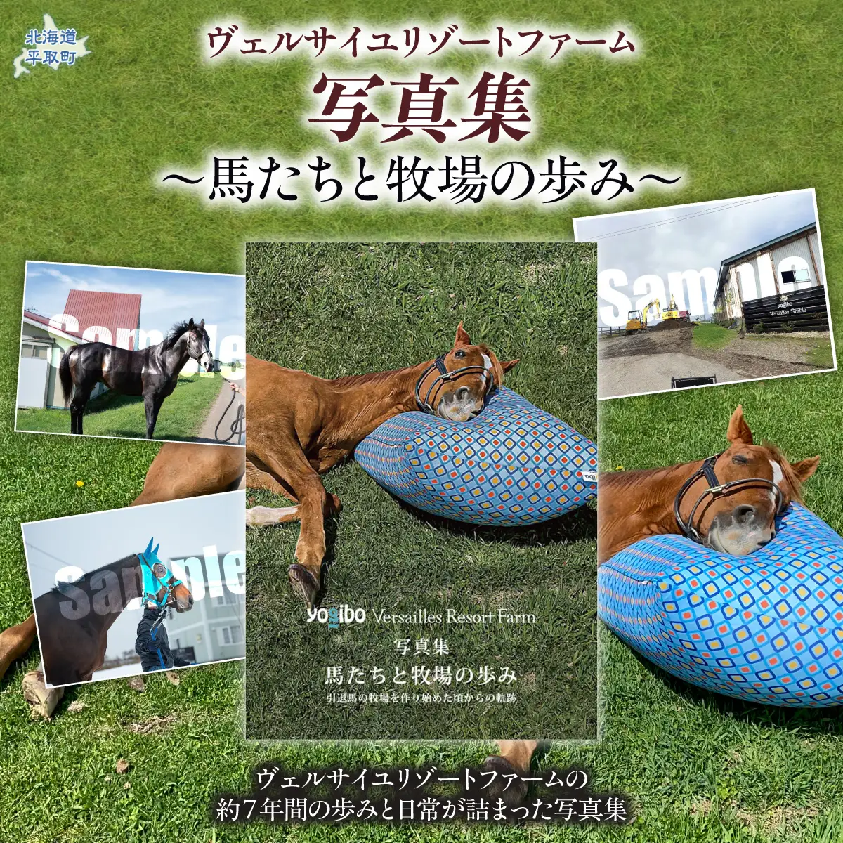 【ヴェルサイユリゾートファーム】写真集〜馬たちと牧場の歩み〜 BRTV482