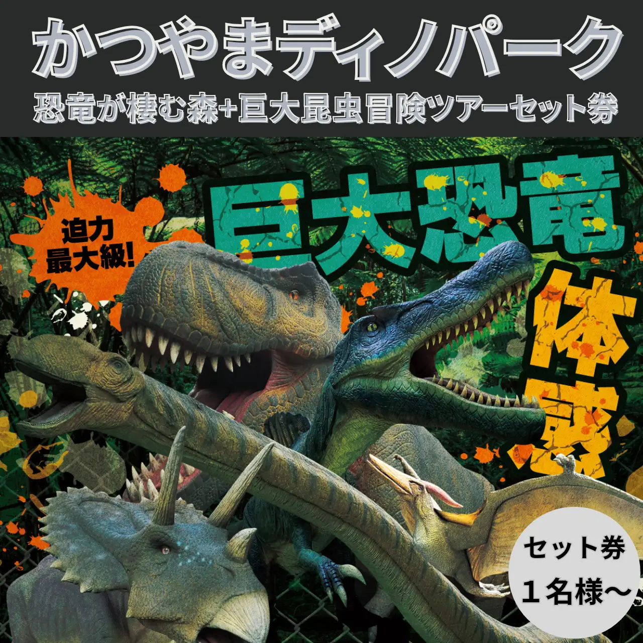 かつやまディノパーク 巨大昆虫冒険ツアー セットチケット 1名様分 [A-088001]
