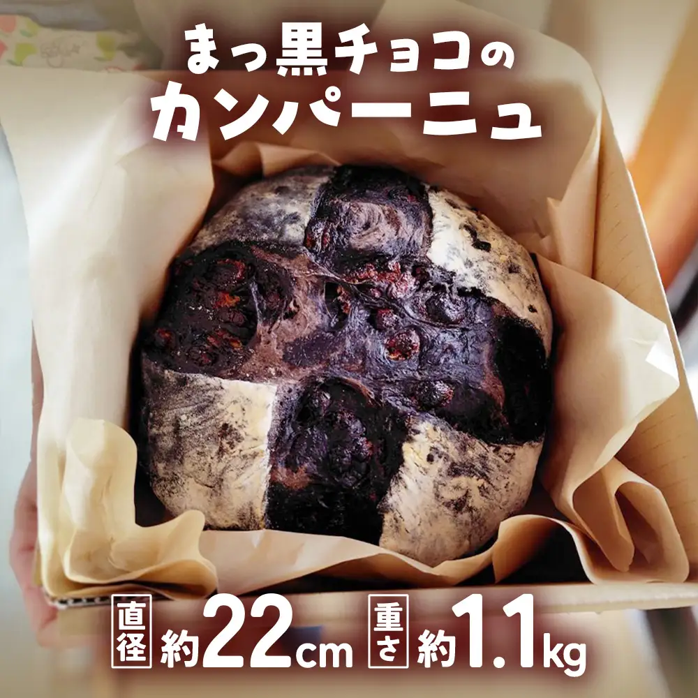 自家製天然酵母を使ったまっ黒チョコのカンパーニュ | パンパンパンパン