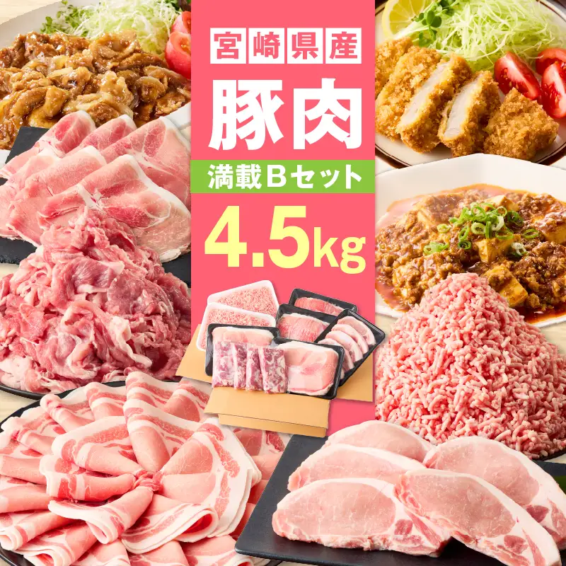 宮崎県産豚4.5kg 満載Bセット