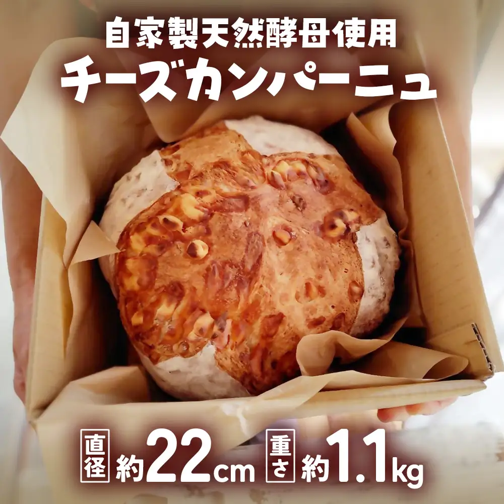 自家製天然酵母を使ったチーズカンパーニュ  | パンパンパンパン