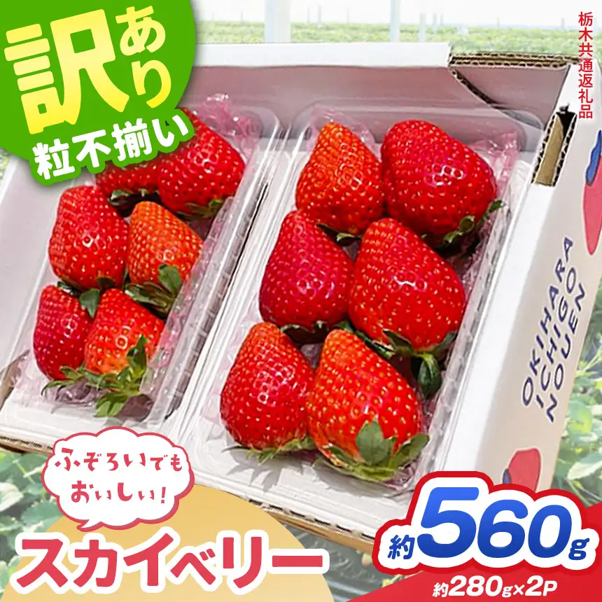 【先行予約】訳あり スカイベリー 約 280g × 2P｜栃木県共通返礼品 栃木県 那珂川町 送料無料