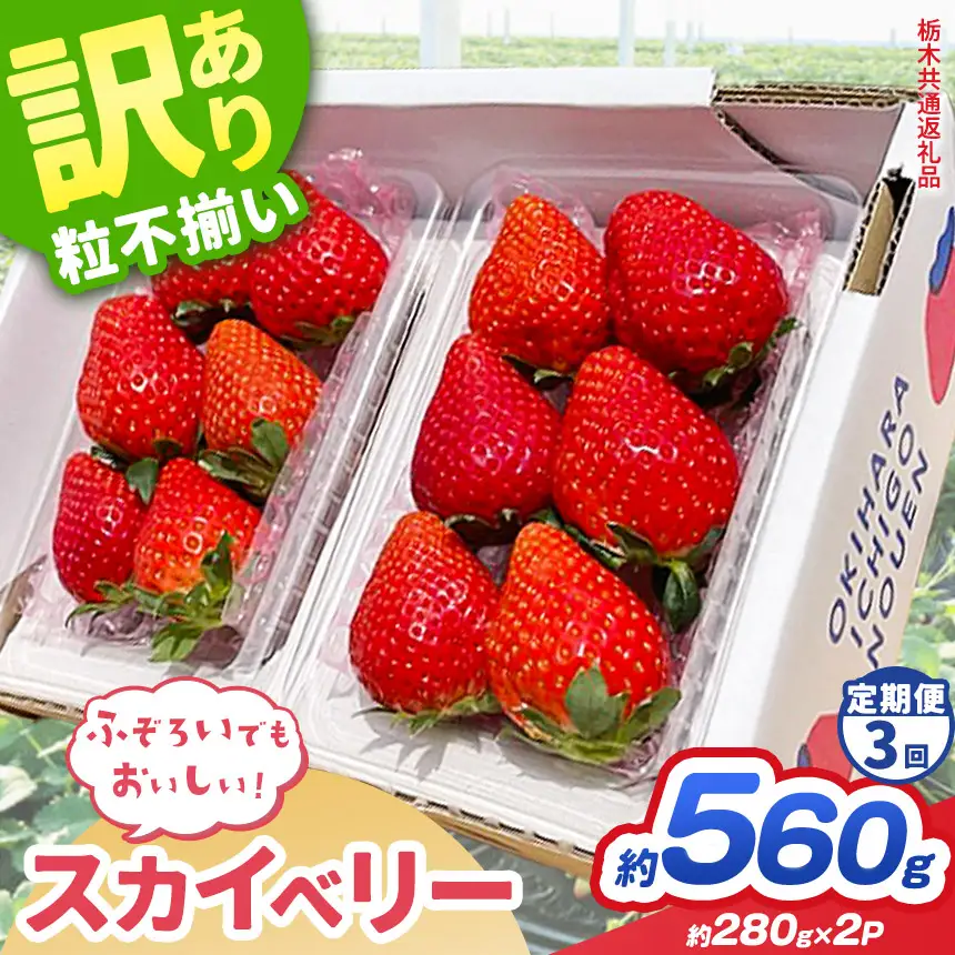 【先行予約】【定期3回】訳あり スカイベリー いちご 約 280g × 2P 栃木県共通返礼品
