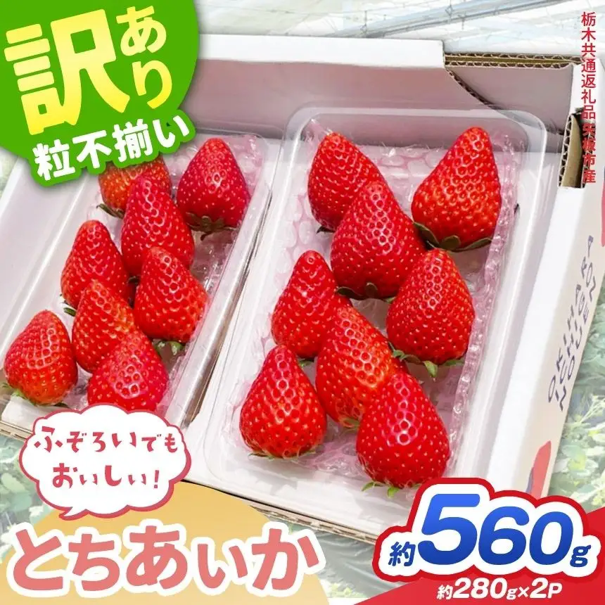 【先行予約】訳あり いちご とちあいか 約 280g ×2P