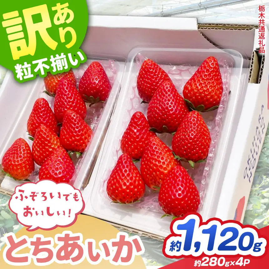 【先行予約】訳あり いちご とちあいか 約280g × 4P 栃木県共通返礼品
