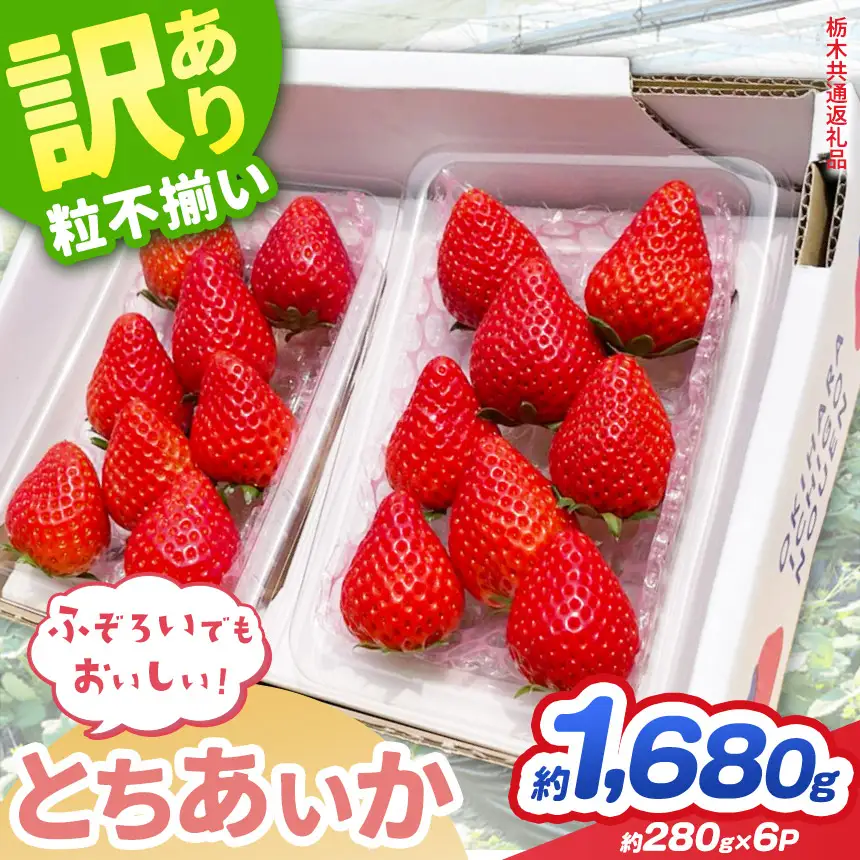 【先行予約】訳あり いちご とちあいか 約280g × 6P 栃木県共通返礼品