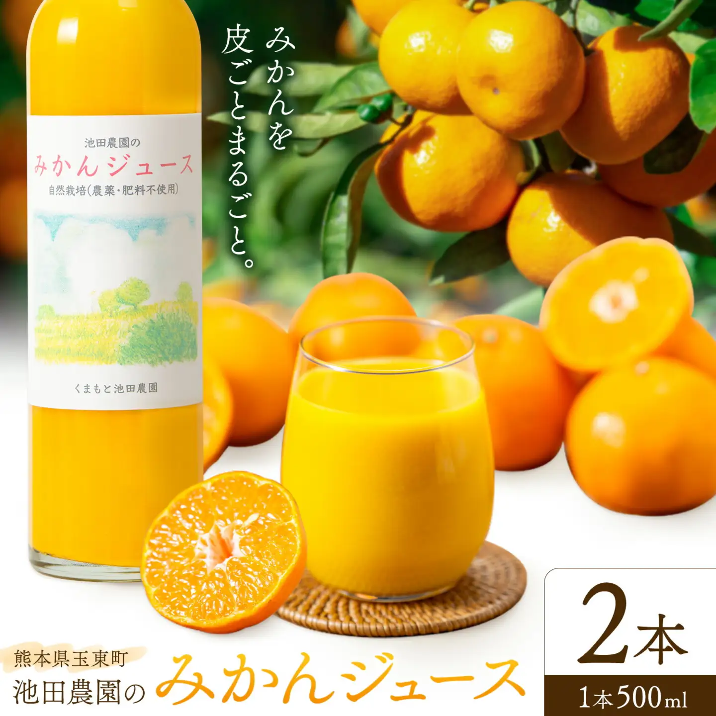 池田農園のみかんジュース 2本 1本500ml 池田農園《30日以内に出荷予定(土日祝除く)》熊本県 玉名郡 玉東町 みかんジュース みかん ミカン ジュース 自然栽培 栽培期間中農薬・肥料不使用